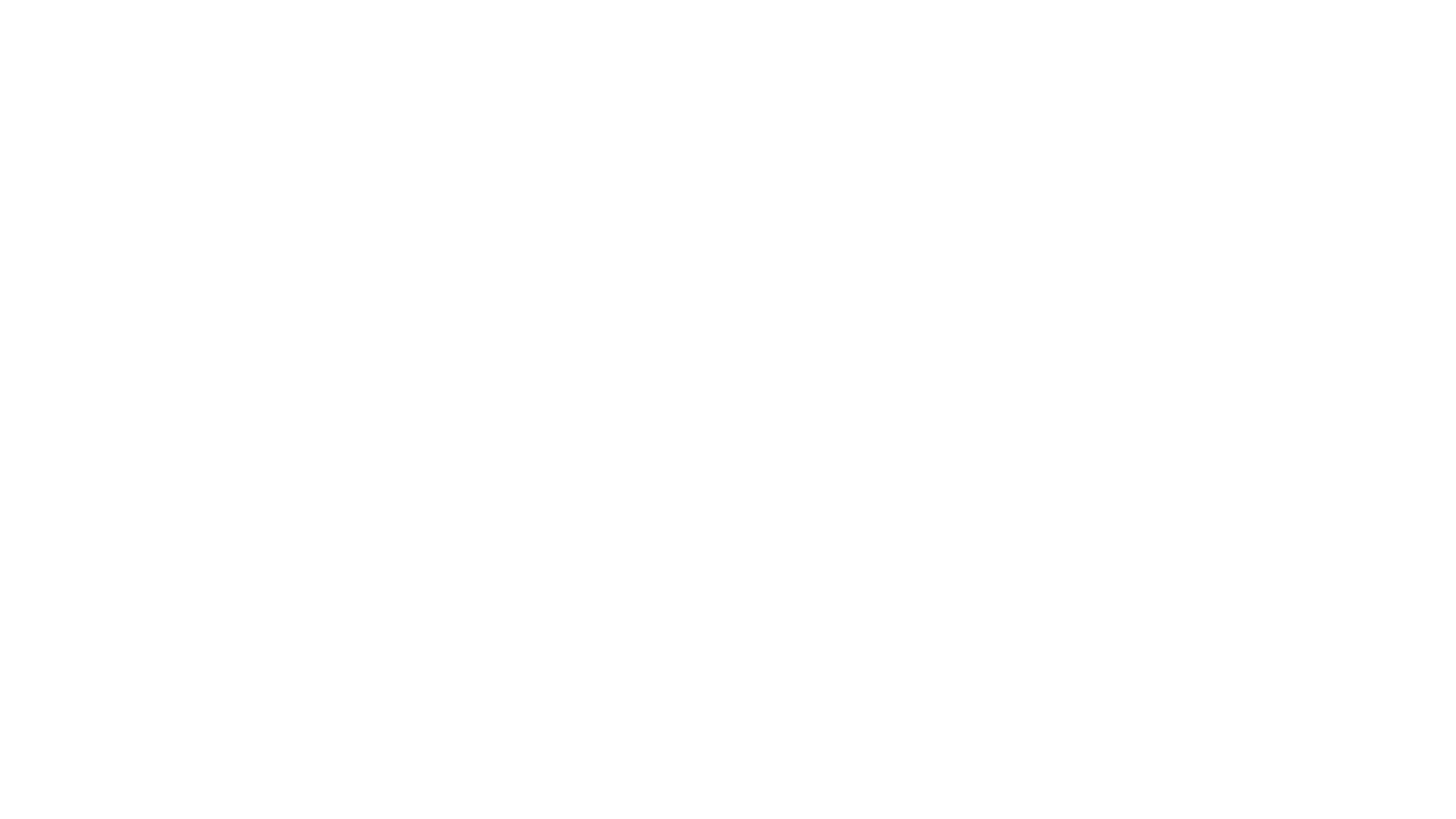 Logo de Vynkin