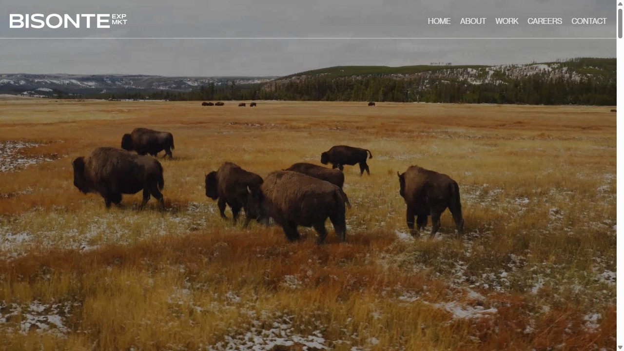 Sitio web para Bisonte
